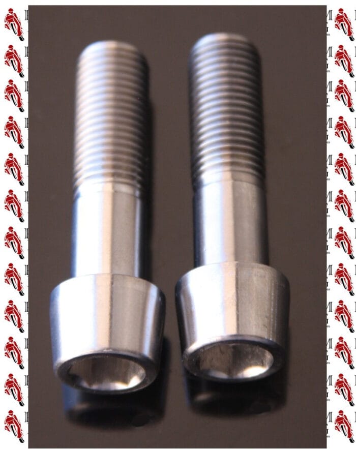 DUCATI MONSTER 1200 TITANIUM SWING ARM SWINGARM BOLTS SILVER 7791825AA